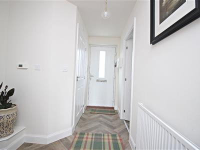 Picture 24